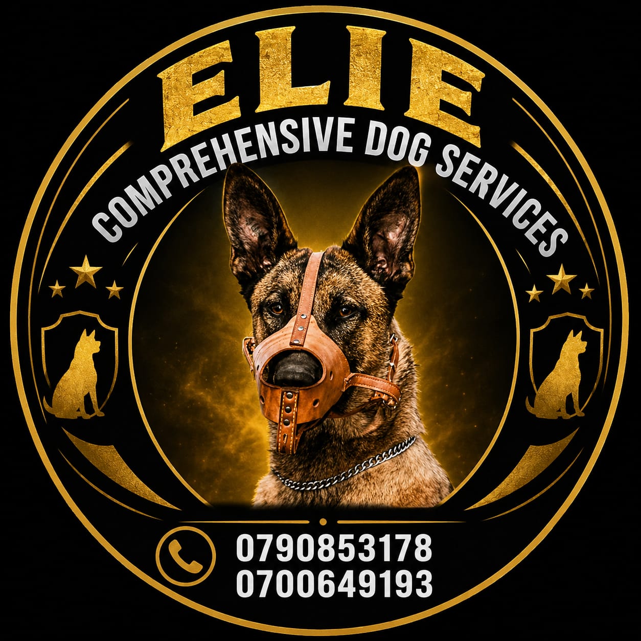 ELIE logo