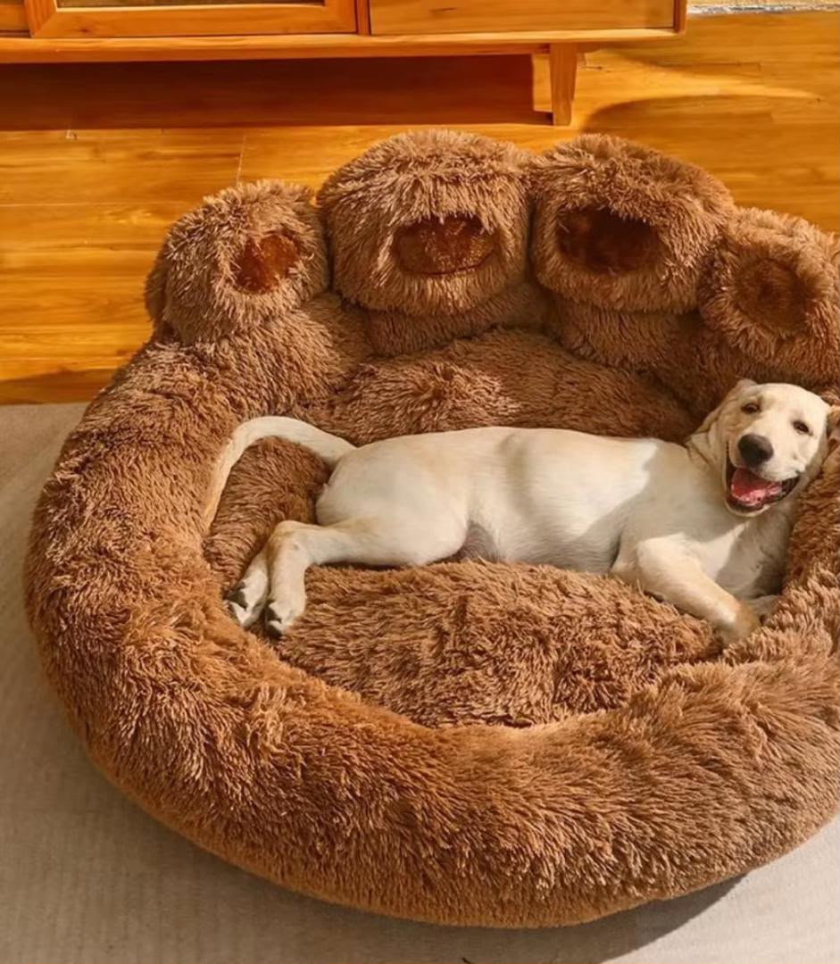 Dog boarding
